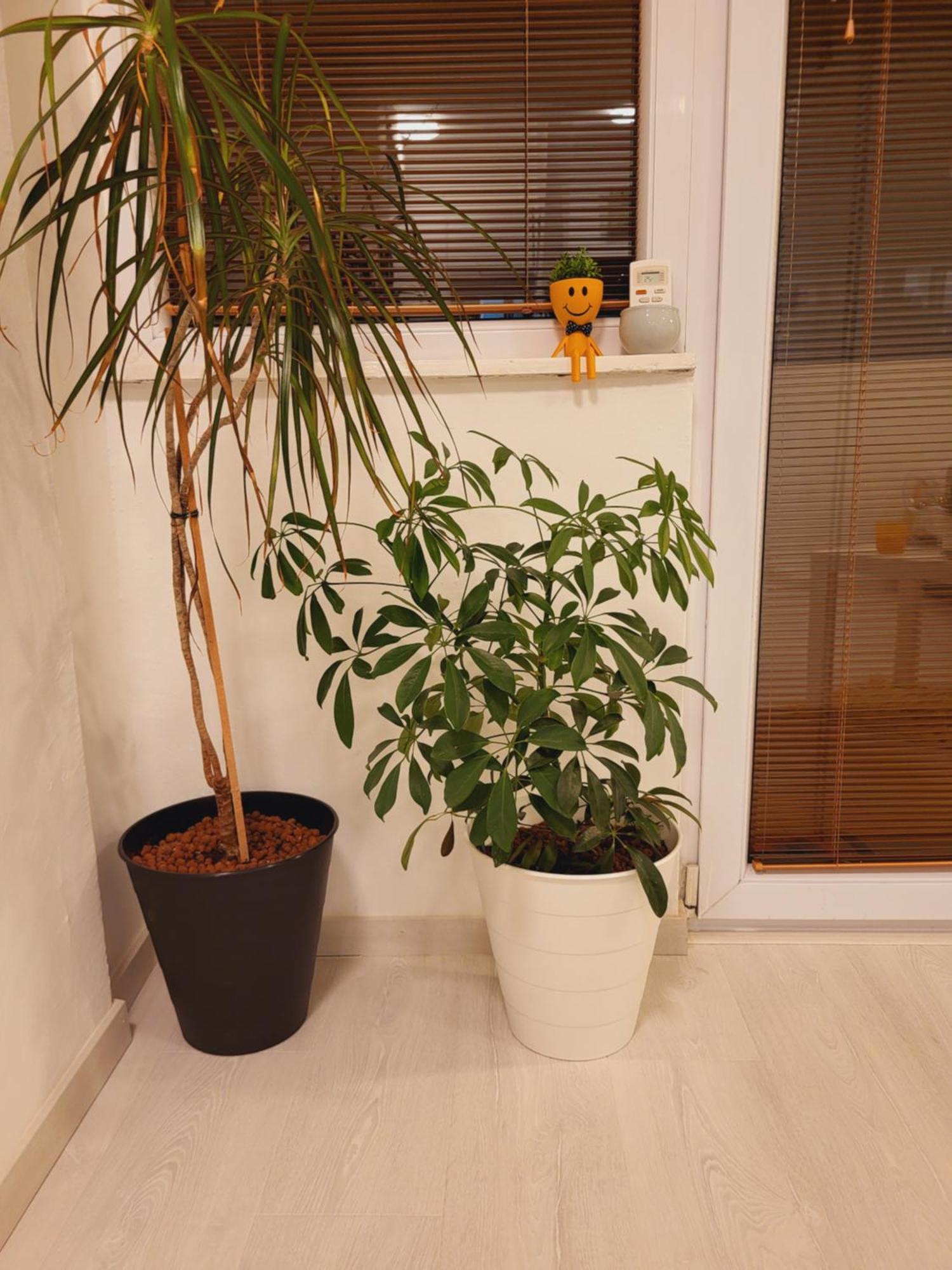 City Center White Apartment! Σκόπια Εξωτερικό φωτογραφία